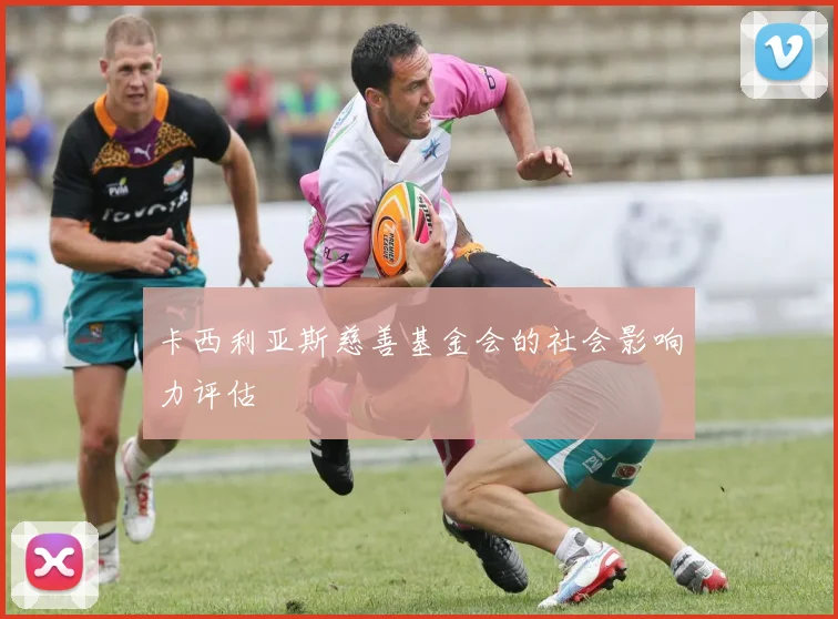 卡西利亚斯慈善基金会的社会影响力评估