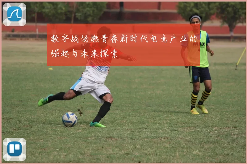 数字战场燃青春新时代电竞产业的崛起与未来探索