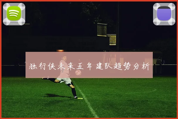 独行侠未来五年建队趋势分析